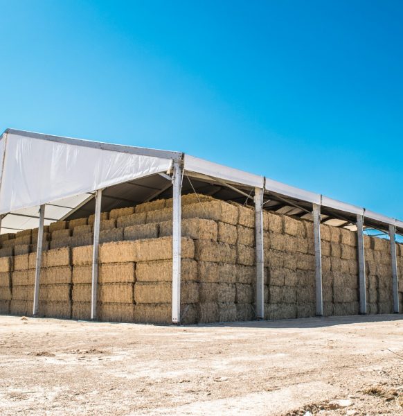 Carpas para almacenaje en agricultura