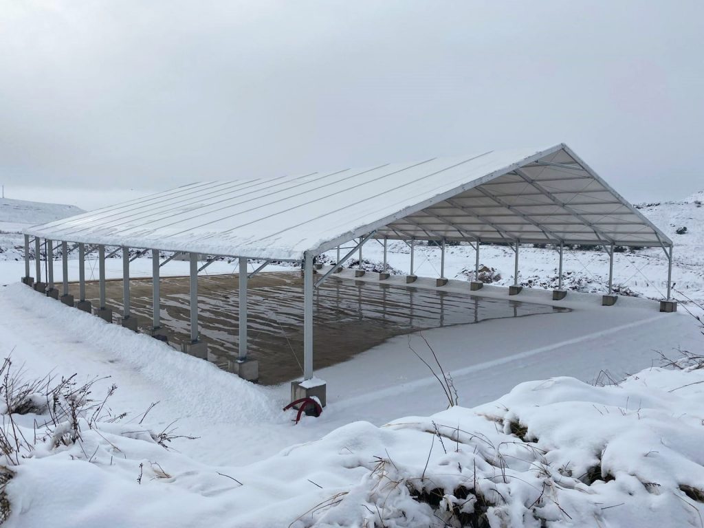 Carpas con nieve