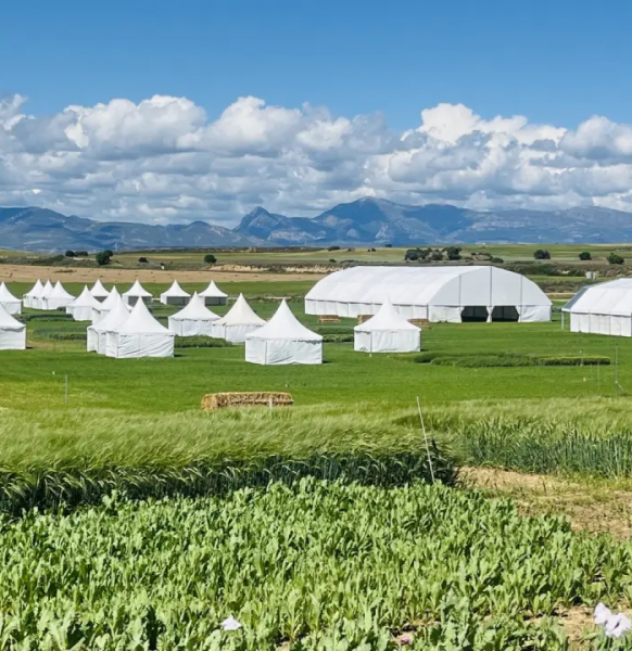 Aracarpas en Cultiva Monegros Norte, el mayor evento de cultivos extensivos de España